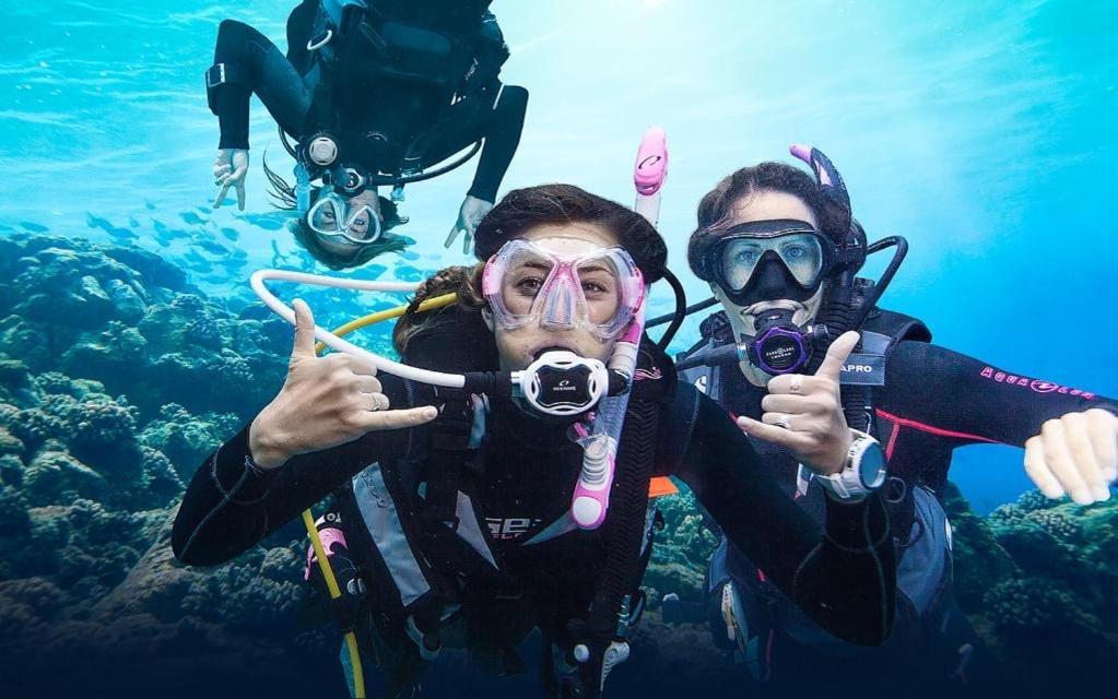 Nautic Daire L'Ametlla de Mar Dış mekan fotoğraf