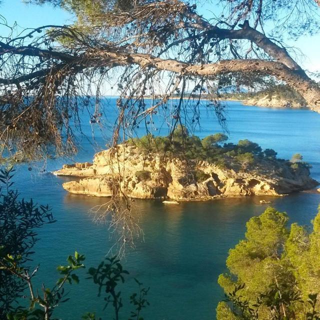 Nautic Daire L'Ametlla de Mar Dış mekan fotoğraf