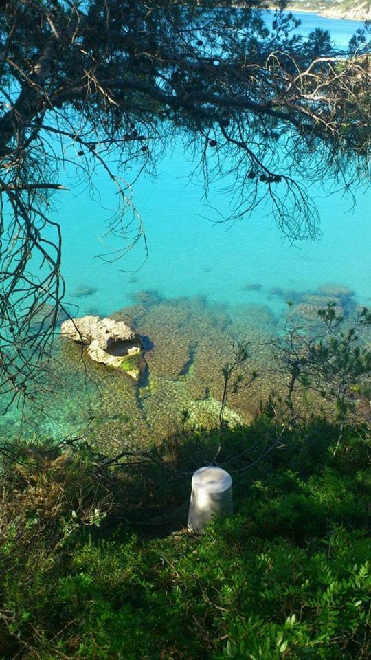 Nautic Daire L'Ametlla de Mar Dış mekan fotoğraf