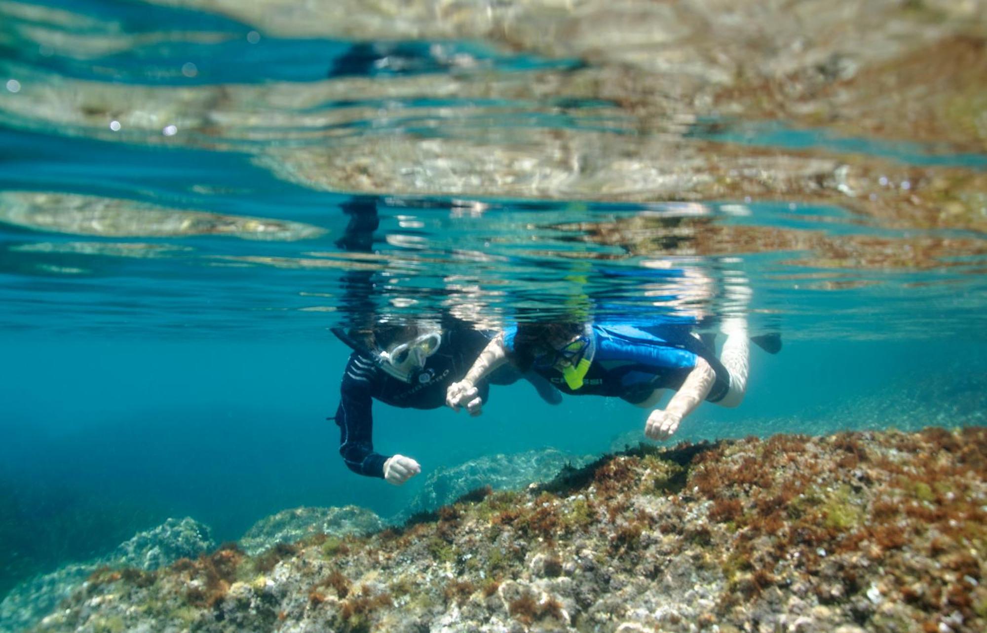 Nautic Daire L'Ametlla de Mar Dış mekan fotoğraf